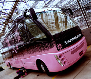 project-pink-bus