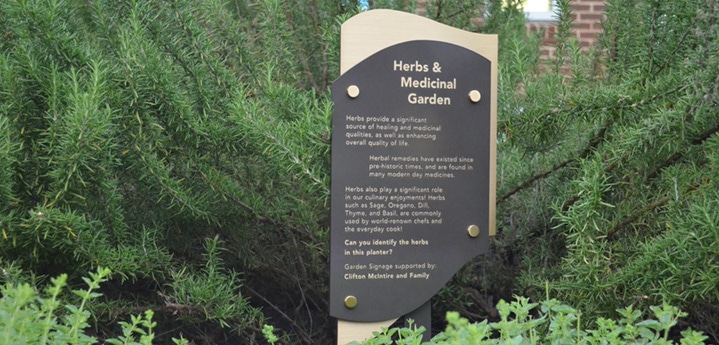 herb garden_web res